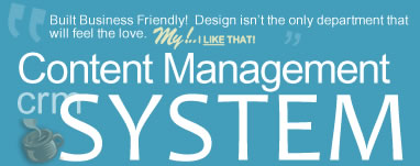 Content Management System Overview